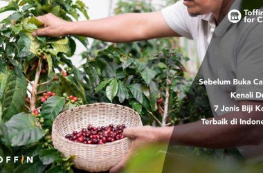 Sebelum Buka Cafe, Kenali Dulu 5 Jenis Biji Kopi Terbaik di Indonesia