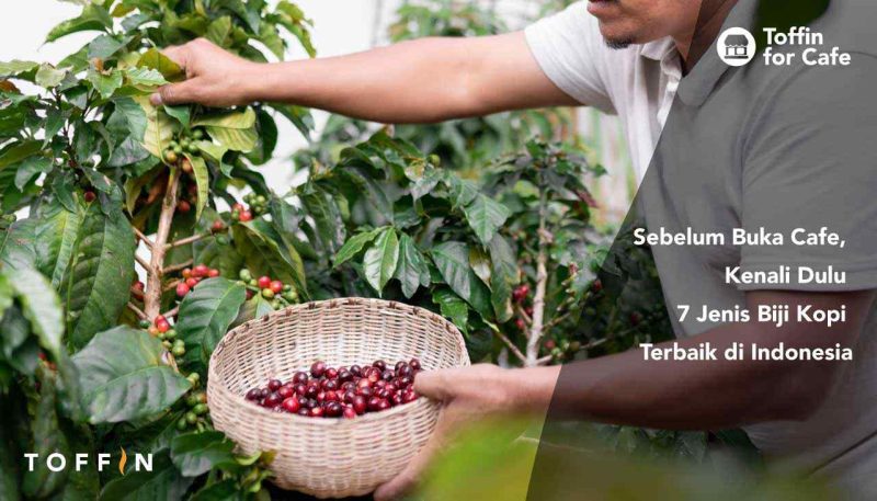 Sebelum Buka Cafe, Kenali Dulu 5 Jenis Biji Kopi Terbaik di Indonesia