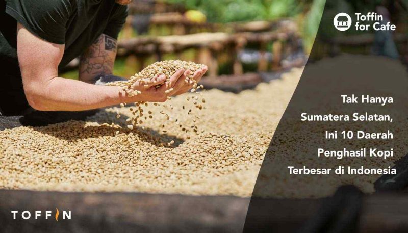 Tak Hanya Sumatera Selatan, Ini 10 Daerah Penghasil Kopi Terbesar di Indonesia